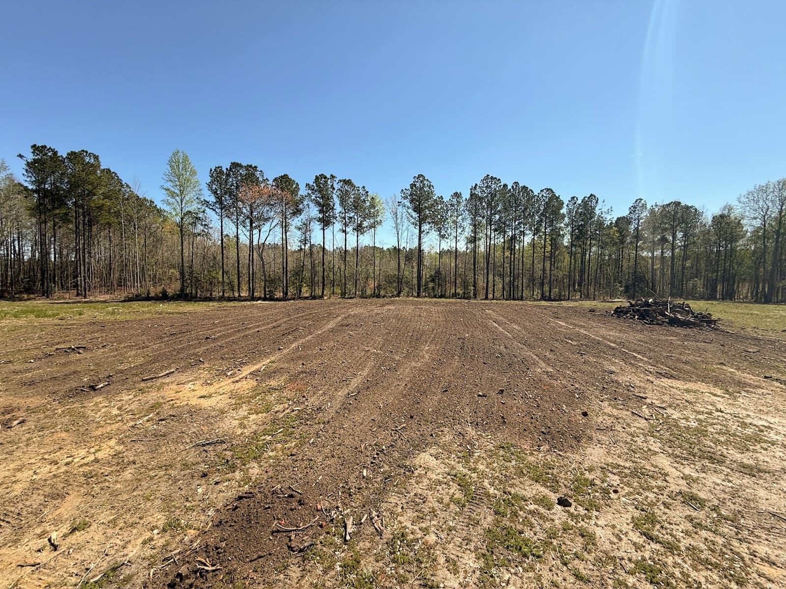 A cleared lot in Edgecombe County