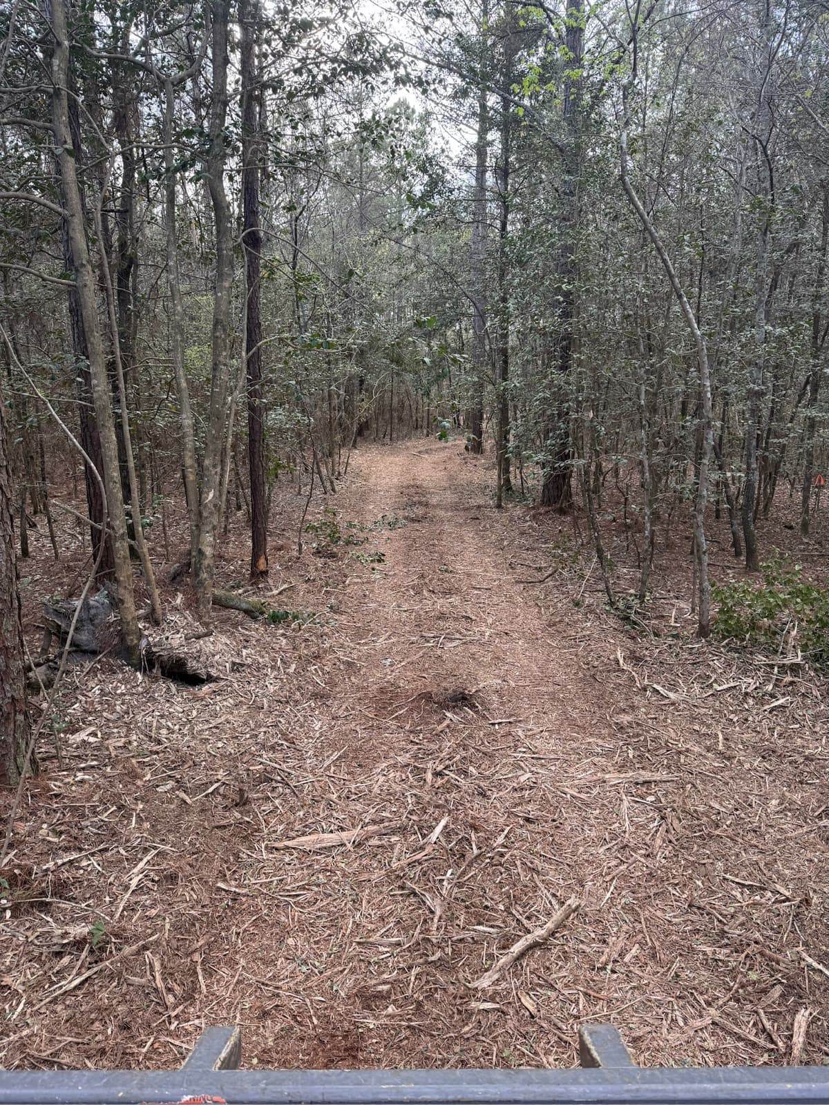 An access trail cut through wooded property
